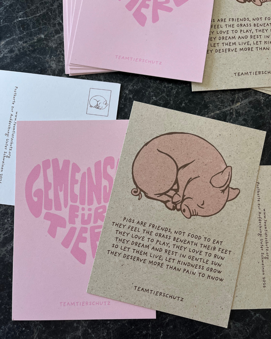 Postkarten Bundle