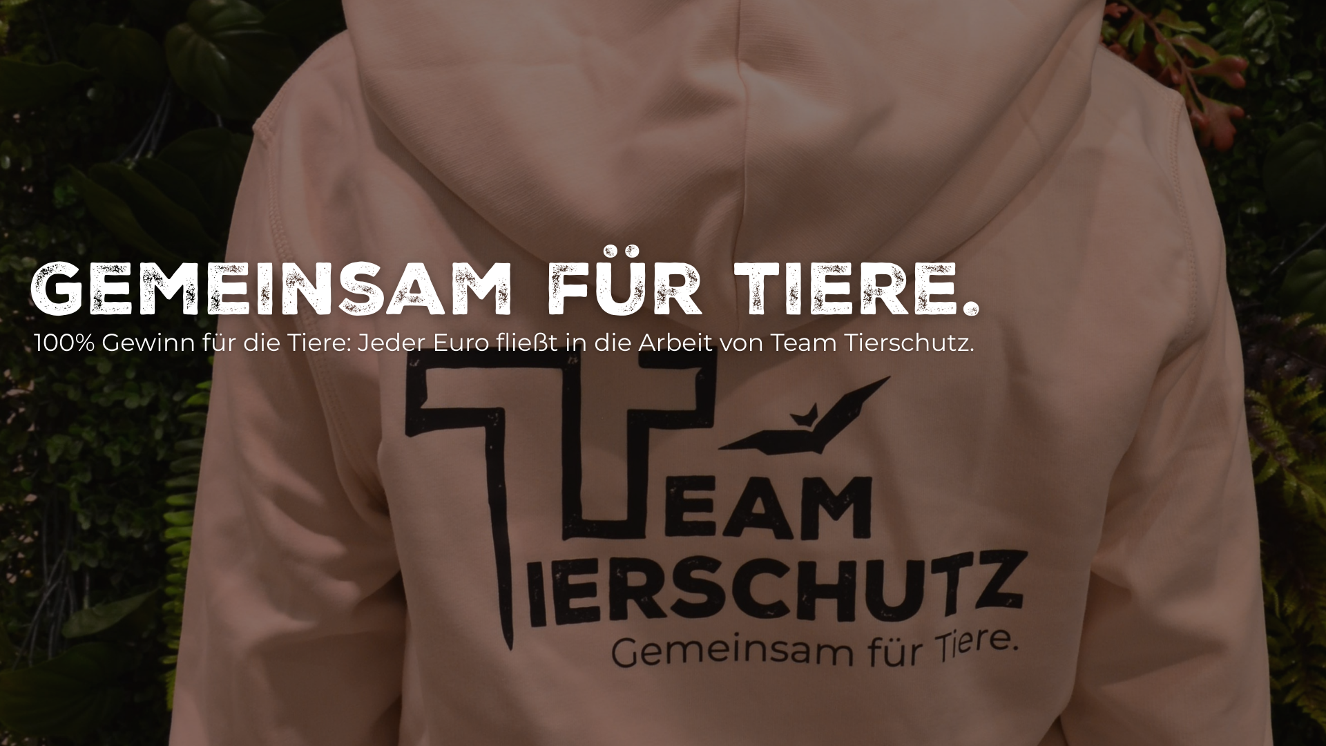 Video laden: Video von Merchandise und dem Hersteller