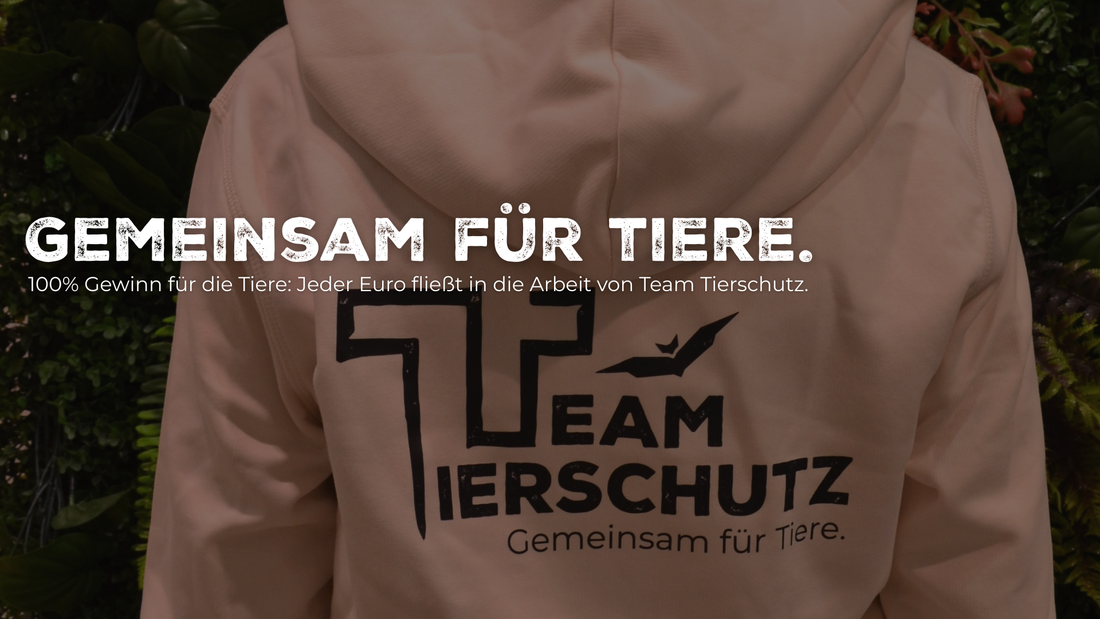 Video von Merchandise und dem Hersteller